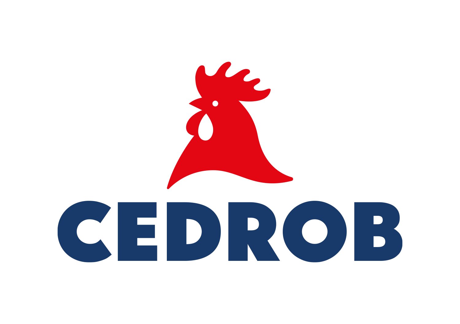 13 - cedrob(1)